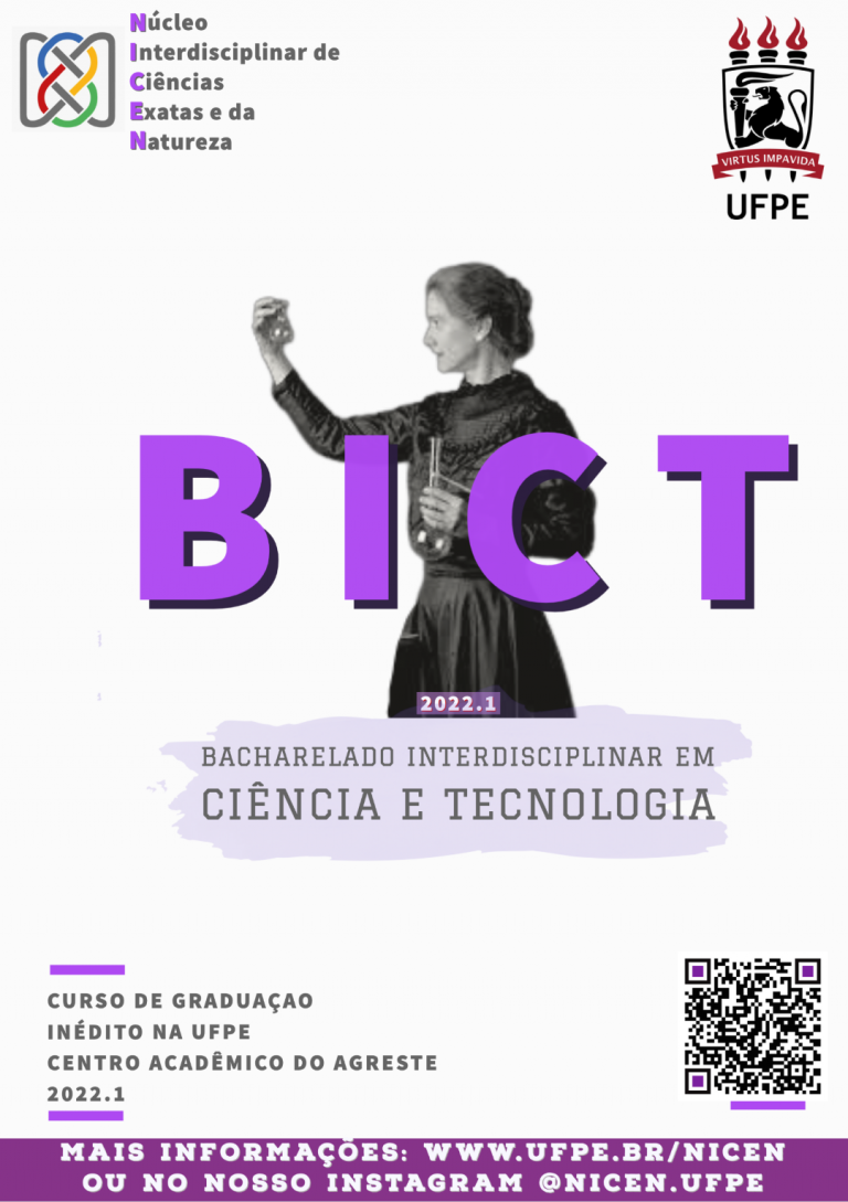 Cartaz de divulgação BICT 2 (Large)