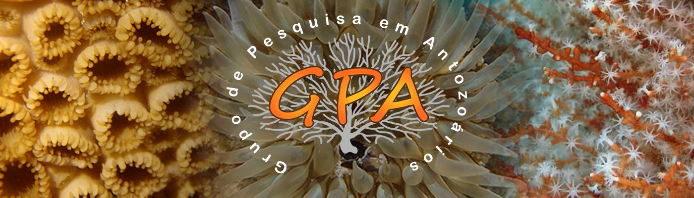 Grupo de Pesquisa em Antozoários