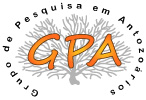 Grupo de Pesquisa Corpuslab