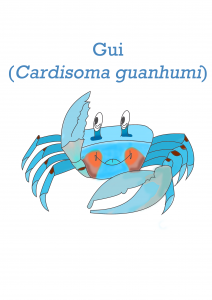 Gui JPSC