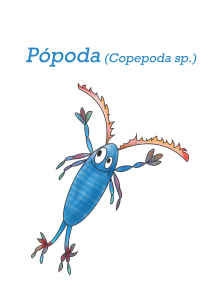 Pópoda JPSC