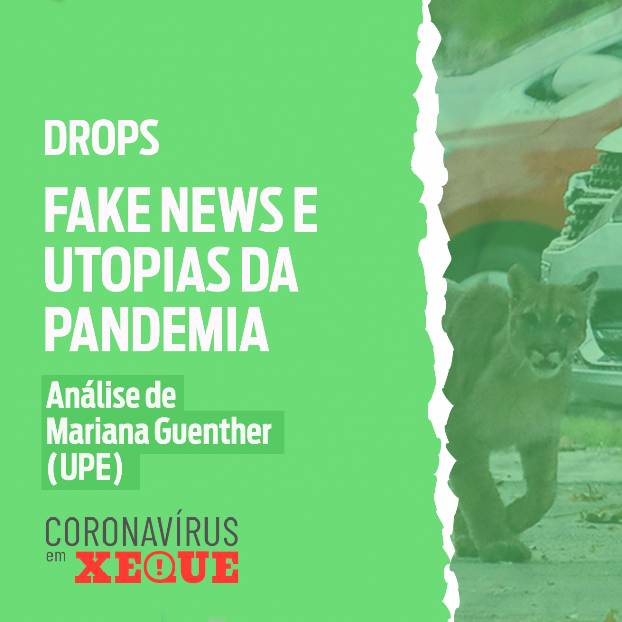 Fake news e utopias da pandemia