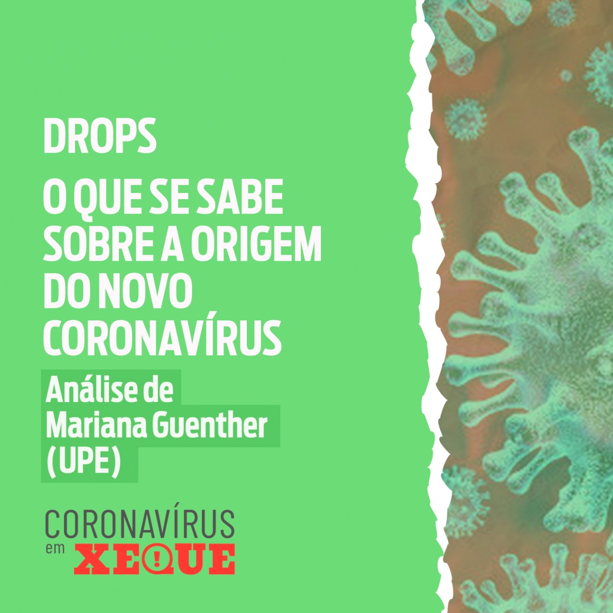 O que se sabe sobre a origem do novo Coronavírus